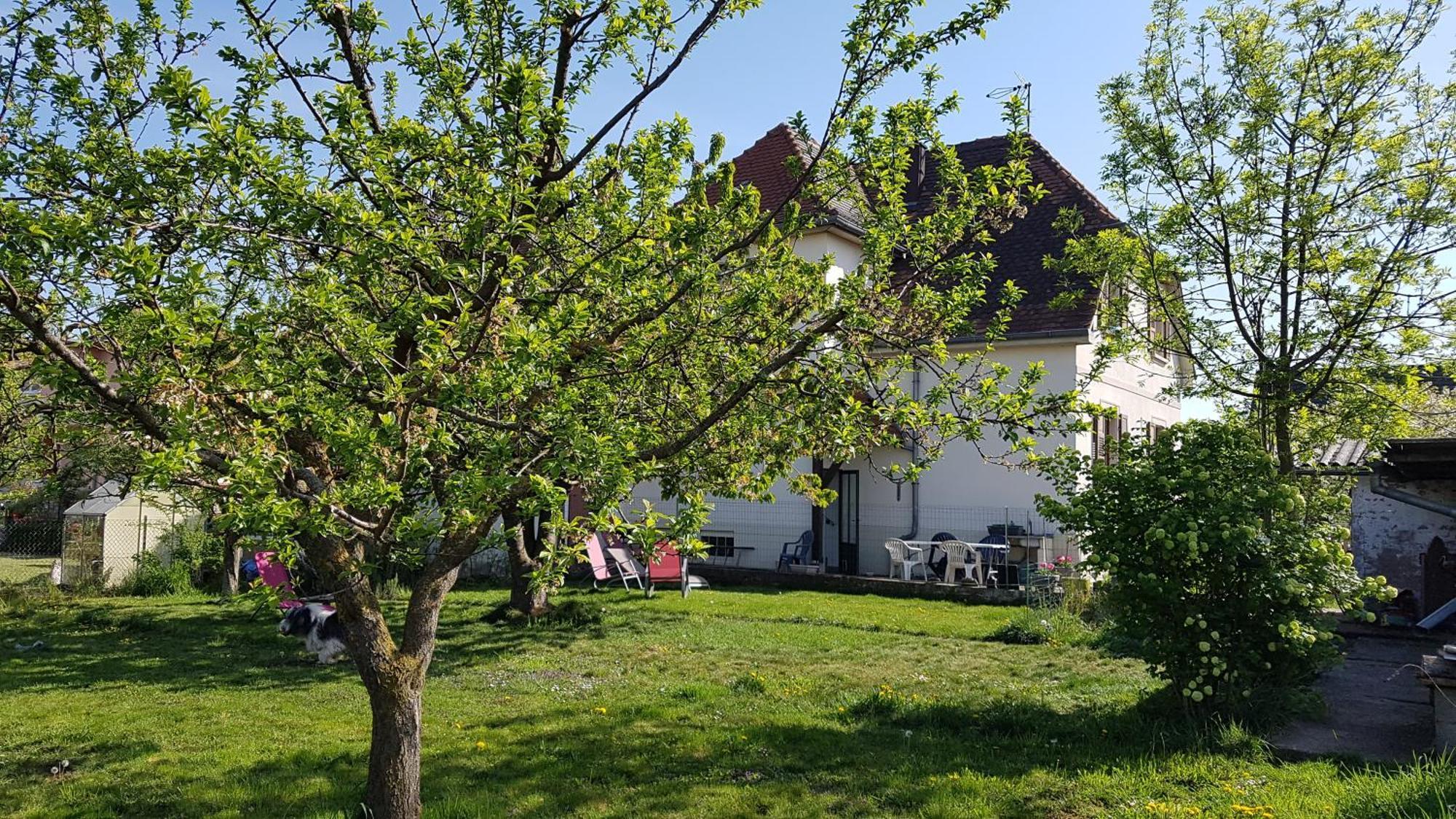 Maison Les 3 Roses Wolfisheim Εξωτερικό φωτογραφία